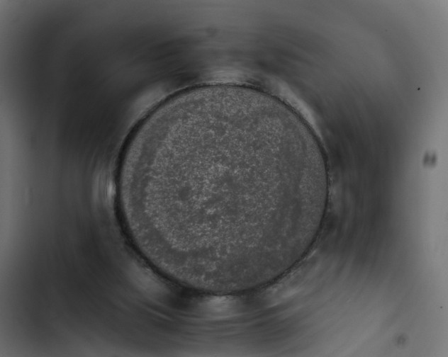 X0000103960059200809261821
