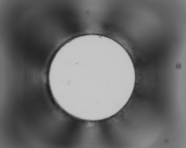 X0000103960060200809261821