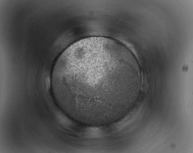X0000103960061200809261821