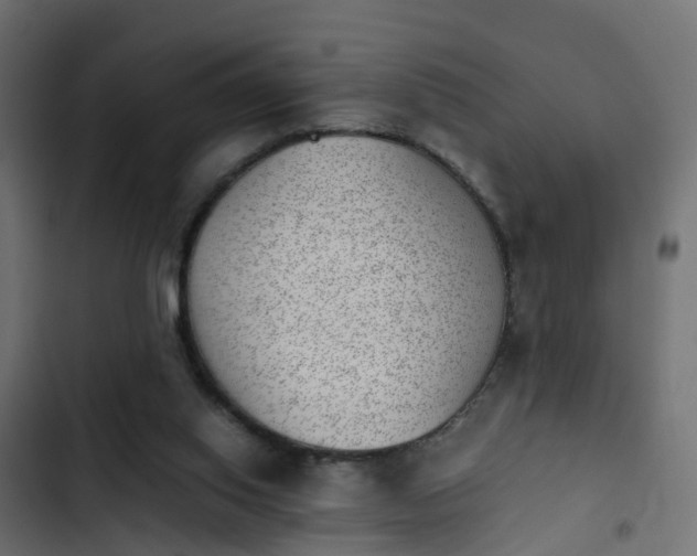 X0000103960062200809261821