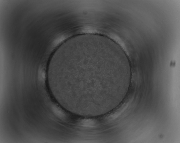 X0000103960063200809261821