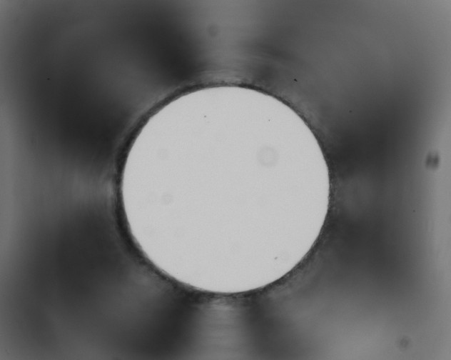 X0000103960064200809261821