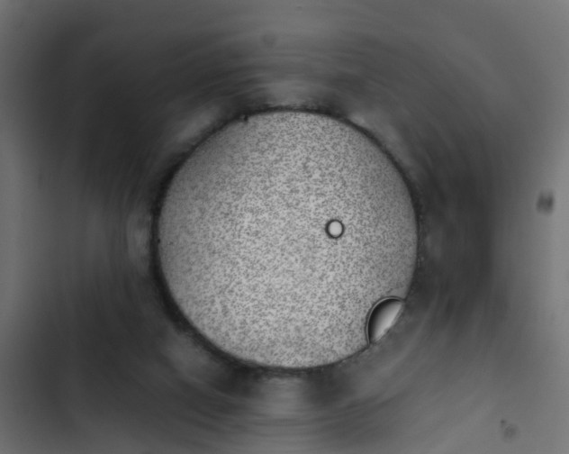 X0000103960066200809261821