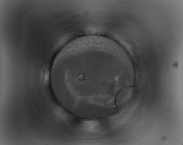 X0000103960067200809261821