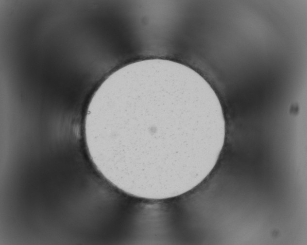 X0000103960068200809261821