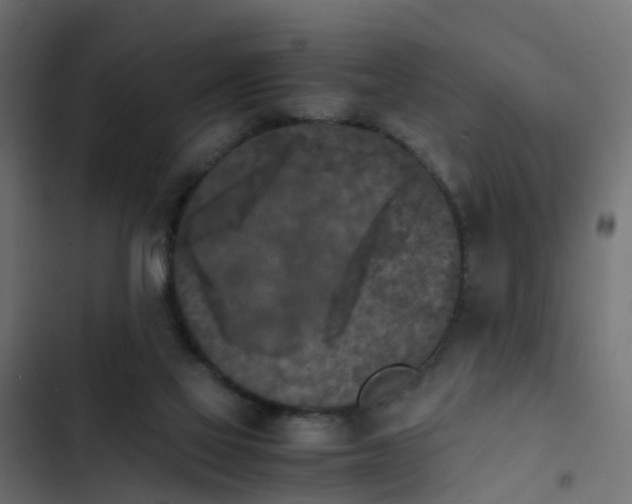 X0000103960069200809261821