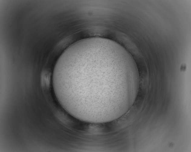 X0000103960070200809261821