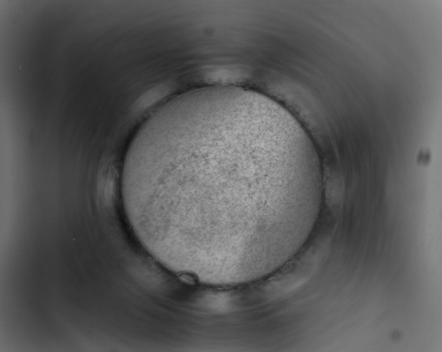 X0000103960071200809261821