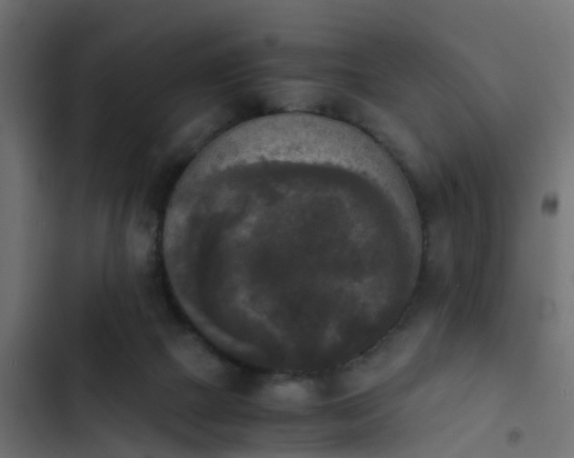 X0000103960073200809261821