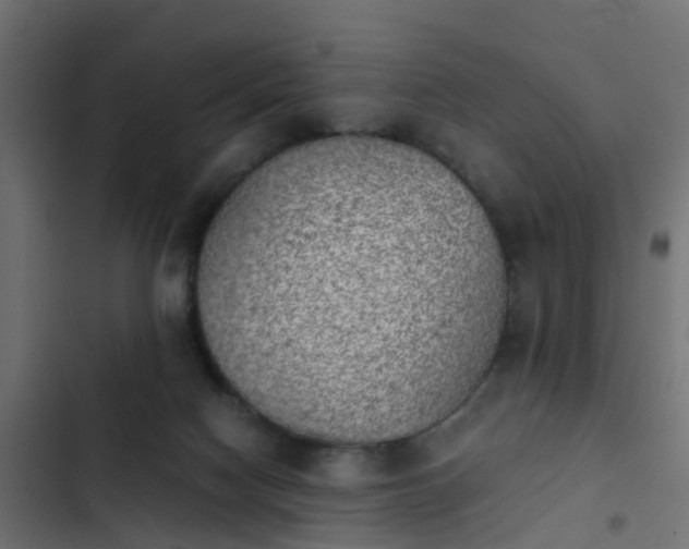 X0000103960074200809261821