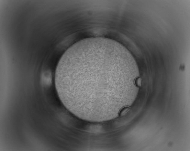 X0000103960075200809261821