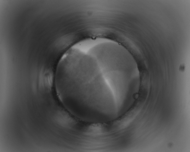 X0000103960076200809261821