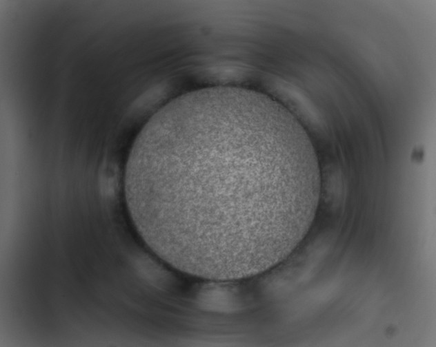 X0000103960077200809261821