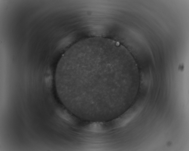 X0000103960080200809261821