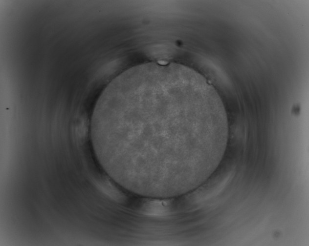 X0000103960081200809261821