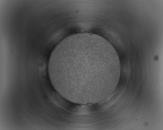 X0000103960082200809261821