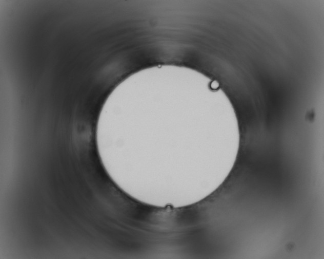 X0000103960084200809261821