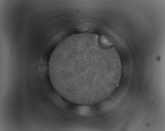 X0000103960085200809261821