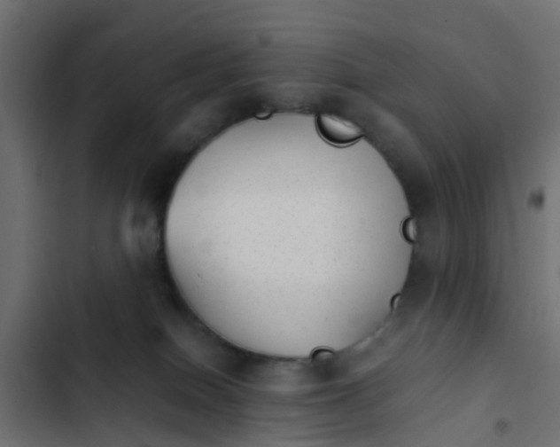 X0000103960086200809261821