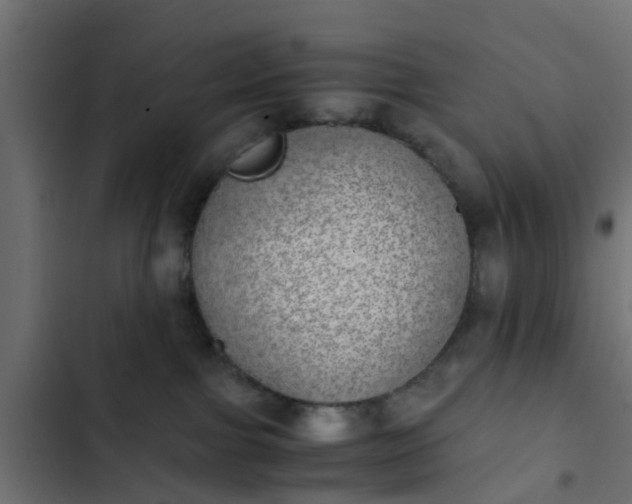X0000103960091200809261821