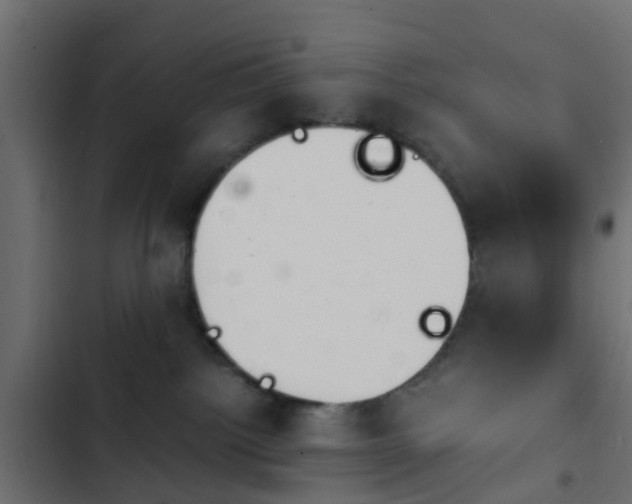 X0000103960092200809261821