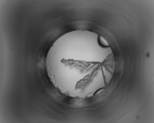 X0000103960093200809261821