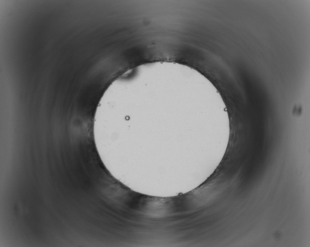 X0000103960096200809261821