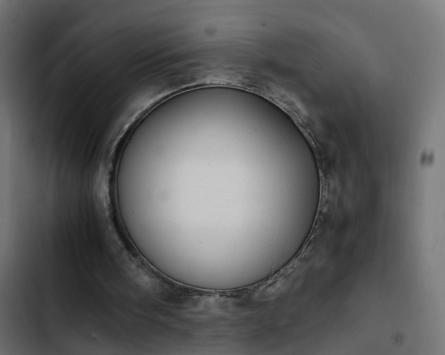X0000103960098200809261820