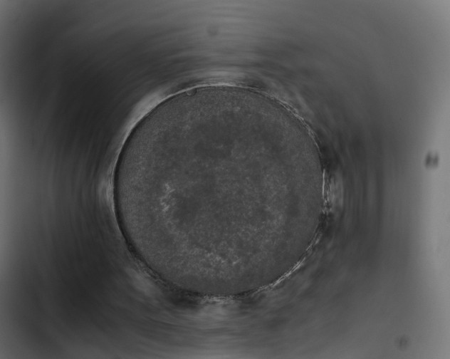 X0000103960099200809261820