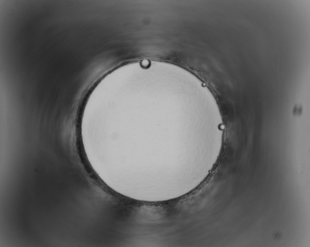 X0000103960101200809261820