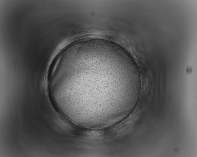 X0000103960102200809261820