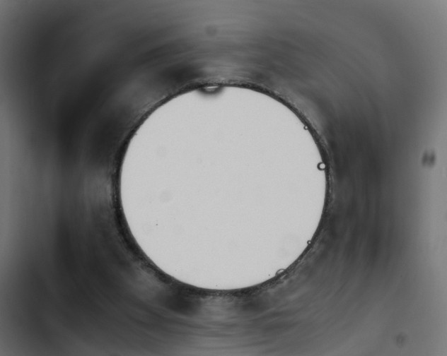X0000103960105200809261820