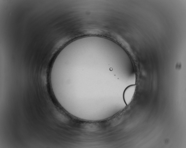 X0000103960106200809261820