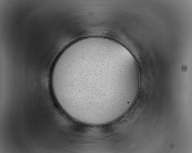 X0000103960107200809261820