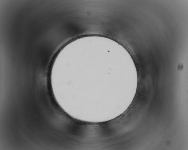 X0000103960108200809261820