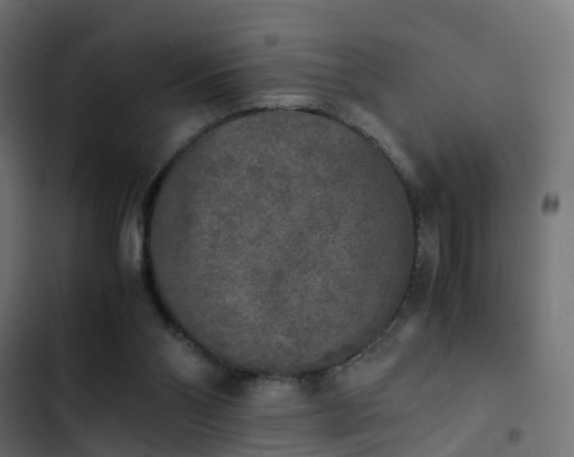X0000103960110200809261820