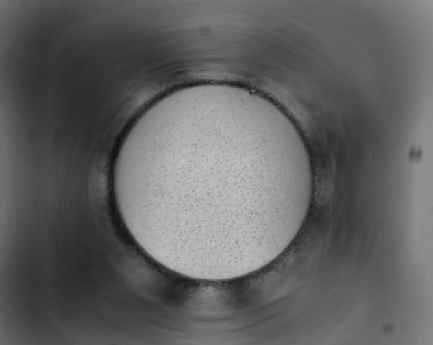 X0000103960111200809261820