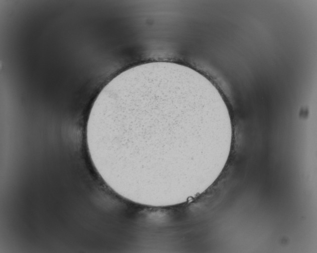 X0000103960113200809261820