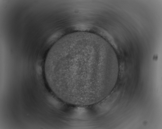 X0000103960114200809261820