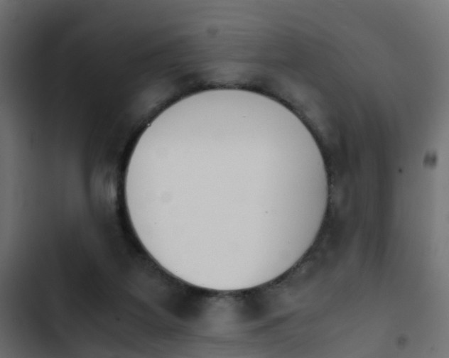 X0000103960115200809261820