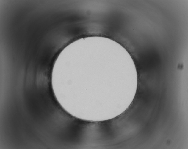 X0000103960116200809261820