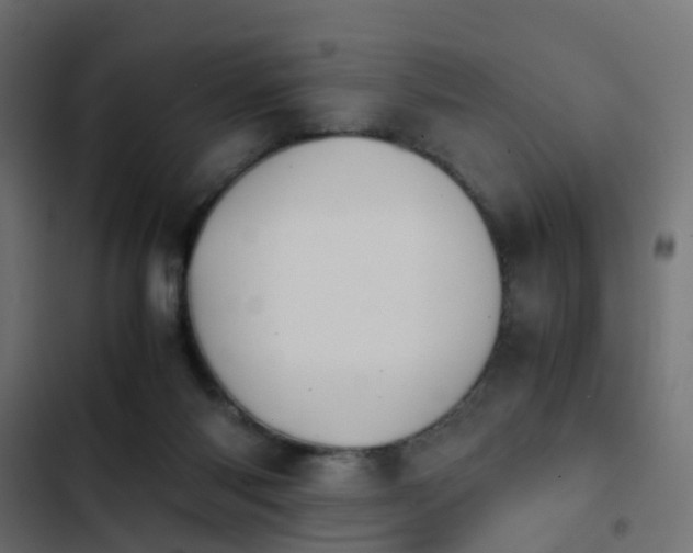 X0000103960118200809261820