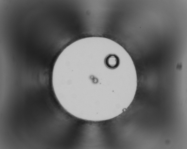 X0000103960120200809261820