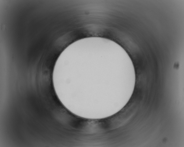 X0000103960121200809261820