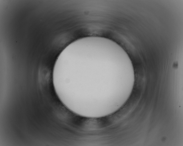 X0000103960123200809261820