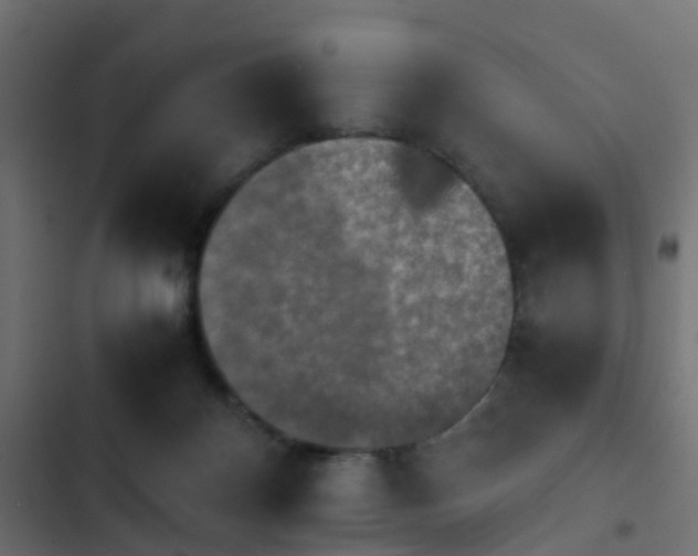 X0000103960124200809261820