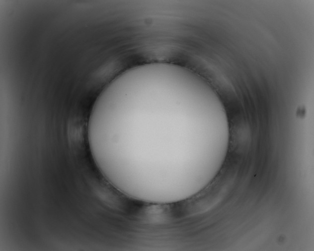 X0000103960126200809261820