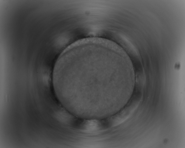 X0000103960127200809261820
