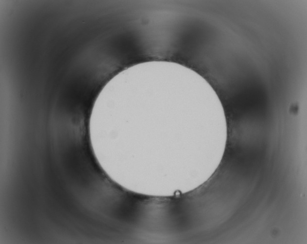 X0000103960128200809261820