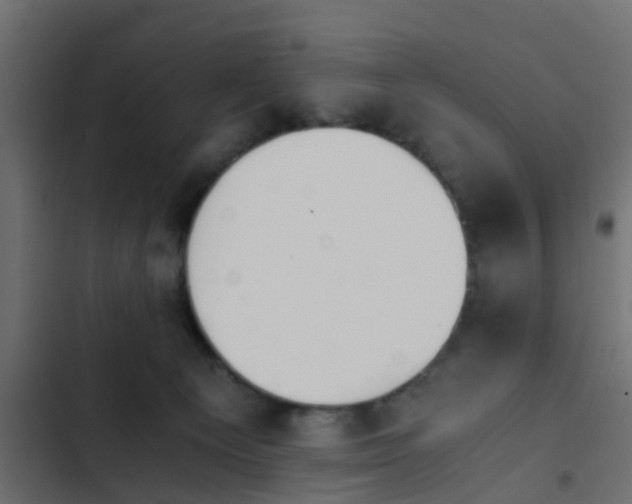 X0000103960129200809261820